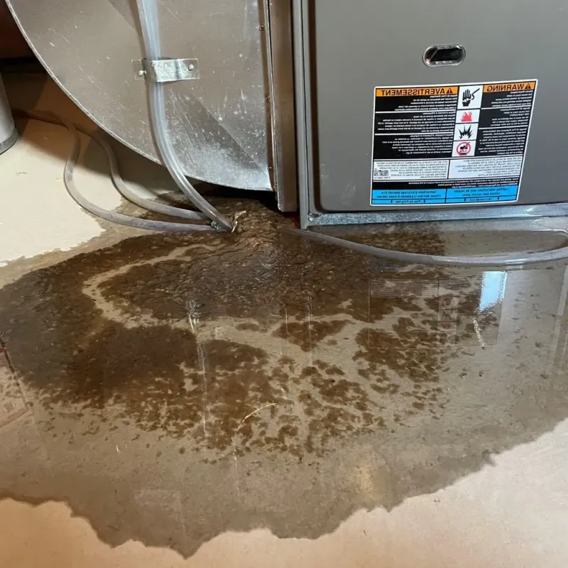Pipe Burst and Leak Restoration in Castle Hayne, NC